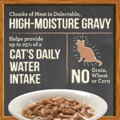 Merrick Purrfect Bistro Bon Appetits Grain-Free Beef Recipe Chunks In Gravy Adult Cat Food Pouches -PurePet Bites Shop 176659 PT5. AC SS1800 V1628571730