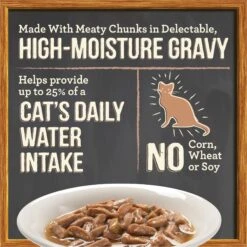 Merrick Purrfect Bistro Bon Appetits Grain-Free Turkey Recipe Chunks In Gravy Adult Cat Food Pouches -PurePet Bites Shop 176663 PT2. AC SS1800 V1628565704