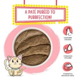 Weruva Classic Cat Jolly Good Fares Chicken & Salmon Pate Canned Cat Food 13 Weruva Classic Cat Jolly Good Fares Chicken & Salmon Pate Canned Cat Food -PurePet Bites Shop 178180 PT2. AC SS1800 V1674079727