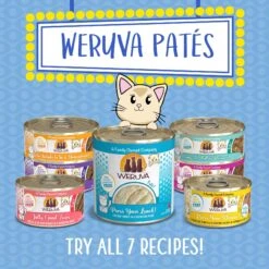 Weruva Classic Cat Jolly Good Fares Chicken & Salmon Pate Canned Cat Food 18 Weruva Classic Cat Jolly Good Fares Chicken & Salmon Pate Canned Cat Food -PurePet Bites Shop 178180 PT7. AC SS1800 V1674163486