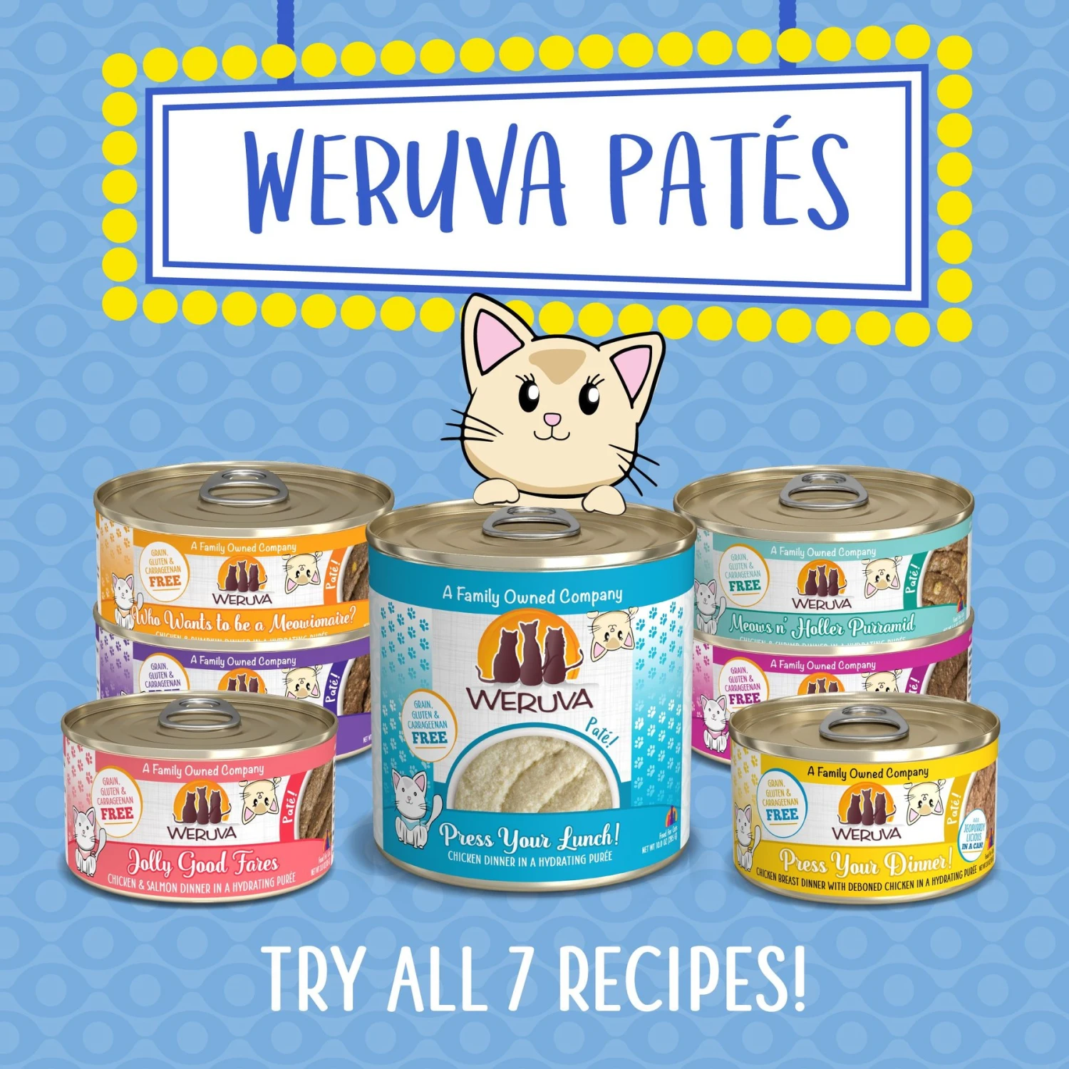 Weruva Classic Cat Jolly Good Fares Chicken & Salmon Pate Canned Cat Food 10 Weruva Classic Cat Jolly Good Fares Chicken & Salmon Pate Canned Cat Food - Image 8