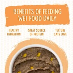 Weruva Classic Cat Who Wants To Be A Meowionaire Chicken & Pumpkin Pate Canned Cat Food -PurePet Bites Shop 178186 PT4. AC SS1800 V1674240629