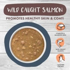 Weruva Classic Cat Goody Stew Shoes Chicken & Salmon In Gravy Stew Canned Cat Food -PurePet Bites Shop 178193 PT2. AC SS1800 V1672328221