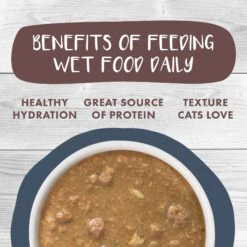 Weruva Classic Cat Goody Stew Shoes Chicken & Salmon In Gravy Stew Canned Cat Food -PurePet Bites Shop 178193 PT5. AC SS1800 V1672256690