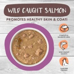 Weruva Classic Cat Stewbacca Chicken, Duck & Salmon In Gravy Stew Canned Cat Food -PurePet Bites Shop 178197 PT2. AC SS1800 V1672255224