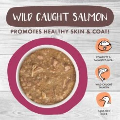 Weruva Classic Cat Stewlander Duck & Salmon In Gravy Stew Canned Cat Food -PurePet Bites Shop 178200 PT2. AC SS1800 V1672256625