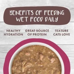 Weruva Classic Cat Stewlander Duck & Salmon In Gravy Stew Canned Cat Food -PurePet Bites Shop 178200 PT5. AC SS1800 V1672255282