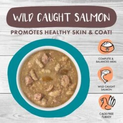 Weruva Classic Cat Stew's Clues Turkey, Chicken & Salmon In Gravy Stew Wet Canned Cat Food -PurePet Bites Shop 178203 PT2. AC SS1800 V1672255881