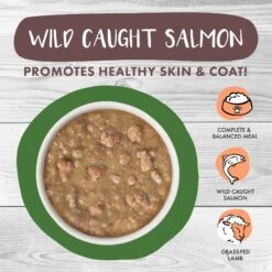 Weruva Classic Cat Stewy Lewis Lamb, Chicken & Salmon In Gravy Stew Canned Cat Food 12 Weruva Classic Cat Stewy Lewis Lamb, Chicken & Salmon In Gravy Stew Canned Cat Food -PurePet Bites Shop 178206 PT2. AC SS1800 V1672256633