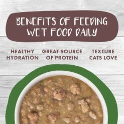 Weruva Classic Cat Stewy Lewis Lamb, Chicken & Salmon In Gravy Stew Canned Cat Food 15 Weruva Classic Cat Stewy Lewis Lamb, Chicken & Salmon In Gravy Stew Canned Cat Food -PurePet Bites Shop 178206 PT5. AC SS1800 V1672255284