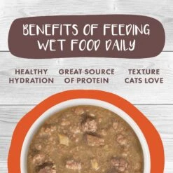 Weruva Classic Cat Taco Stewsday Beef, Chicken & Salmon In Gravy Canned Cat Food -PurePet Bites Shop 178209 PT5. AC SS1800 V1672255221