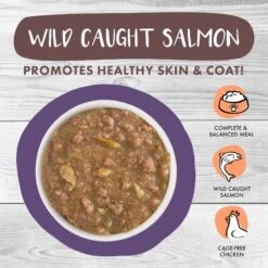 Weruva Classic Cat Too Hot To Handle Chicken, Duck & Salmon In Gravy Stew Cat Food Pouches 14 Weruva Classic Cat Too Hot To Handle Chicken, Duck & Salmon In Gravy Stew Cat Food Pouches -PurePet Bites Shop 178213 PT3. AC SS1800 V1672328892