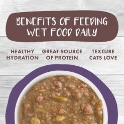 Weruva Classic Cat Too Hot To Handle Chicken, Duck & Salmon In Gravy Stew Cat Food Pouches 15 Weruva Classic Cat Too Hot To Handle Chicken, Duck & Salmon In Gravy Stew Cat Food Pouches -PurePet Bites Shop 178213 PT4. AC SS1800 V1672328955