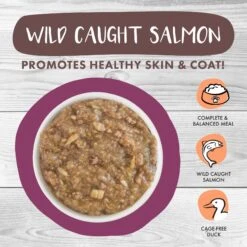 Weruva Classic Cat Stick A Spork In It Duck & Salmon In Gravy Stew Cat Food Pouches -PurePet Bites Shop 178215 PT3. AC SS1800 V1672255282