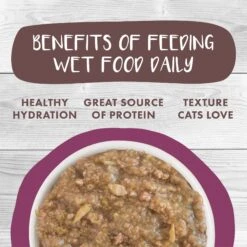 Weruva Classic Cat Stick A Spork In It Duck & Salmon In Gravy Stew Cat Food Pouches -PurePet Bites Shop 178215 PT4. AC SS1800 V1672256747