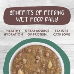 Weruva Classic Cat Simmer Down Turkey, Chicken & Salmon In Gravy Stew Cat Food Pouches -PurePet Bites Shop 178217 PT4. AC SS1800 V1672255340