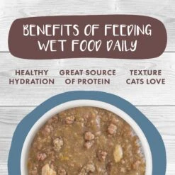 Weruva Classic Cat Kettle Call Beef, Chicken & Salmon In Gravy Stew Cat Food Pouches -PurePet Bites Shop 178221 PT4. AC SS1800 V1672255022