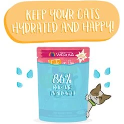 Weruva Cats In The Kitchen The Karate Kitty With Beef & Salmon Grain-Free Cat Food Pouches -PurePet Bites Shop 178267 PT4. AC SS1800 V1672254970