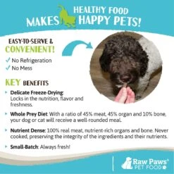 Raw Paws All Natural Freeze-Dried Grass-Fed Beef Recipe Dog & Cat Treats -PurePet Bites Shop 181987 PT4. AC SS1800 V1687550427