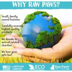 Raw Paws All Natural Freeze-Dried Grass-Fed Beef Recipe Dog & Cat Treats -PurePet Bites Shop 181987 PT6. AC SS1800 V1605807471