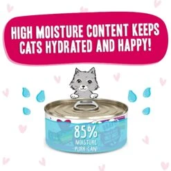 BFF OMG Dilly Dally! Tuna & Duck Flavor Wet Canned Cat Food 14 BFF OMG Dilly Dally! Tuna & Duck Flavor Wet Canned Cat Food -PurePet Bites Shop 182247 PT3. AC SS1800 V1647911824