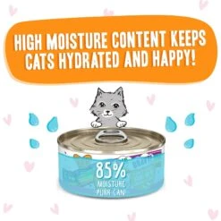 BFF OMG Start Me Up! Tuna & Salmon Flavor Wet Canned Cat Food 14 BFF OMG Start Me Up! Tuna & Salmon Flavor Wet Canned Cat Food -PurePet Bites Shop 182249 PT3. AC SS1800 V1647913373