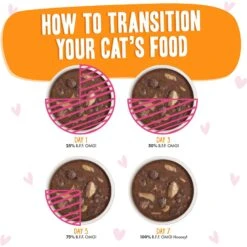 BFF OMG Start Me Up! Tuna & Salmon Flavor Wet Canned Cat Food 18 BFF OMG Start Me Up! Tuna & Salmon Flavor Wet Canned Cat Food -PurePet Bites Shop 182249 PT7. AC SS1800 V1647912106