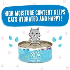 BFF OMG Chase Me! Tuna & Chicken Flavor Wet Canned Cat Food -PurePet Bites Shop 182253 PT3. AC SS1800 V1647899805