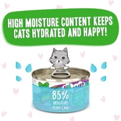 BFF OMG Lights Out! Tuna & Lamb Wet Canned Cat Food -PurePet Bites Shop 182260 PT3. AC SS1800 V1683147906