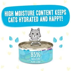 BFF OMG Cloud 9! Chicken In Gravy Wet Canned Cat Food -PurePet Bites Shop 182264 PT3. AC SS1800 V1647904351