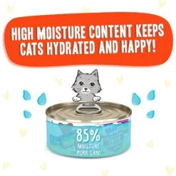 BFF OMG Stir It Up! Chicken & Salmon In Gravy Wet Canned Cat Food -PurePet Bites Shop 182267 PT3. AC SS1800 V1647906463