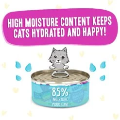 BFF OMG Dream Team! Chicken & Duck In Gravy Wet Canned Cat Food -PurePet Bites Shop 182271 PT3. AC SS1800 V1647911238