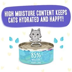 BFF OMG Be Happy! Chicken & Beef In Gravy Wet Canned Cat Food -PurePet Bites Shop 182276 PT3. AC SS1800 V1647909779