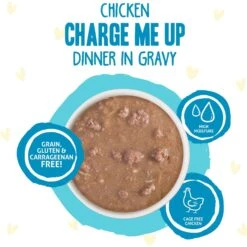 BFF OMG Charge Me Up! Chicken In Gravy Wet Cat Food -PurePet Bites Shop 182278 PT2. AC SS1800 V1694183986