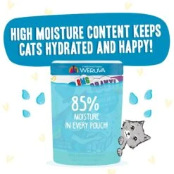 BFF OMG Charge Me Up! Chicken In Gravy Wet Cat Food -PurePet Bites Shop 182278 PT3. AC SS1800 V1694184542