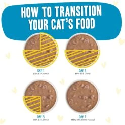 BFF OMG Charge Me Up! Chicken In Gravy Wet Cat Food -PurePet Bites Shop 182278 PT7. AC SS1800 V1694184573