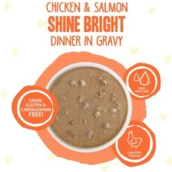 BFF OMG Shine Bright! Chicken & Salmon In Gravy Wet Cat Food Pouches -PurePet Bites Shop 182280 PT2. AC SS1800 V1644916949