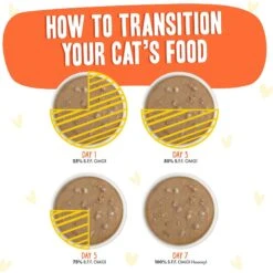 BFF OMG Shine Bright! Chicken & Salmon In Gravy Wet Cat Food Pouches -PurePet Bites Shop 182280 PT7. AC SS1800 V1644919360