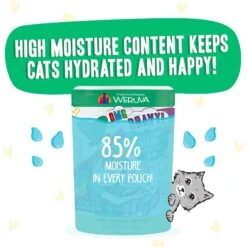 BFF OMG Text Me! Chicken & Turkey In Gravy Wet Cat Food Pouches -PurePet Bites Shop 182282 PT3. AC SS1800 V1644903102