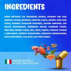 Forza10 Nutraceutic ActiWet Dermo Support Icelandic Fish Recipe Canned Cat Food -PurePet Bites Shop 183199 PT4. AC SS1800 V1643740610