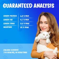 Forza10 Nutraceutic ActiWet Dermo Support Icelandic Fish Recipe Canned Cat Food -PurePet Bites Shop 183199 PT7. AC SS1800 V1643740662