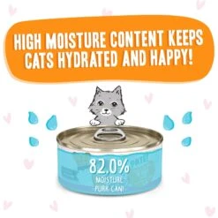BFF Play Pate Lovers Tuna & Salmon Oh Snap Wet Cat Food -PurePet Bites Shop 192235 PT3. AC SS1800 V1657656135