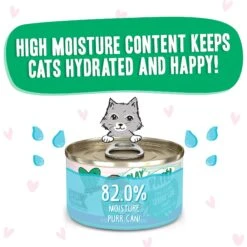 BFF Play Pate Lovers Tuna & Lamb Lovers' Lane Wet Cat Food, 2.8-oz Can, Pack Of 12 -PurePet Bites Shop 192247 PT3. AC SS1800 V1649713610