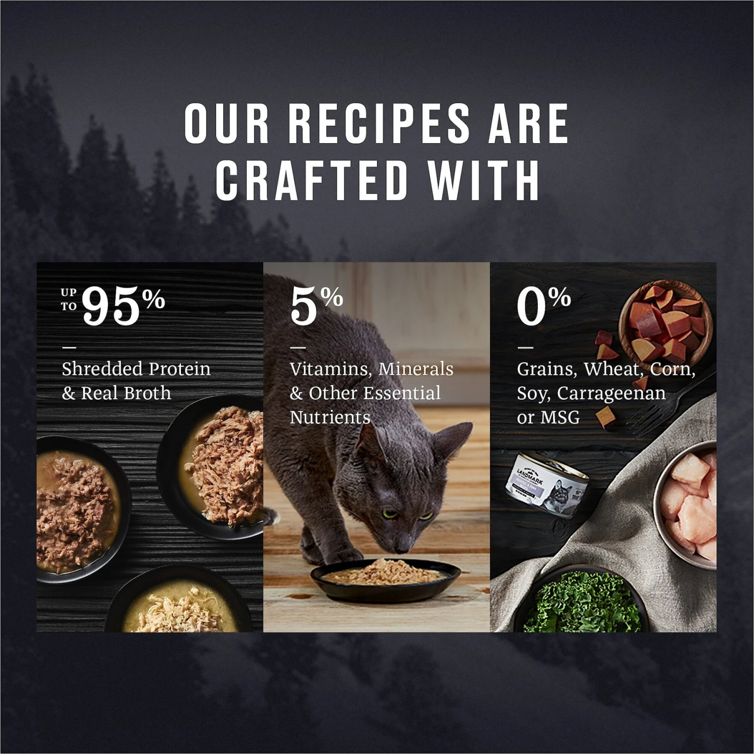 American Journey Landmark Chicken Recipe In Broth Grain-Free Canned Cat Food, 3-oz, Case Of 12 6 American Journey Landmark Chicken Recipe In Broth Grain-Free Canned Cat Food, 3-oz, Case Of 12 - Image 4