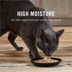 American Journey Landmark Chicken & Turkey Recipe In Broth Grain-Free Canned Cat Food, 3-oz, Case Of 12 -PurePet Bites Shop 193494 PT5. AC SS1800 V1582124378