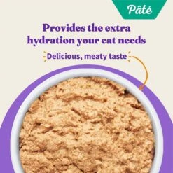 Halo Adult Grain-Free Pate Chicken Recipe Wet Cat Food -PurePet Bites Shop 194488 PT4. AC SS1800 V1701186411