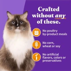 Halo Adult Grain-Free Pate Chicken Recipe Wet Cat Food -PurePet Bites Shop 194488 PT5. AC SS1800 V1701186355