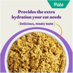 Halo Salmon Recipe Pate Grain-Free Indoor Cat Canned Cat Food -PurePet Bites Shop 194492 PT3. AC SS1800 V1631062887