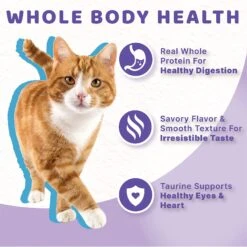 Halo Seafood Medley Pate Grain-Free Indoor Cat Canned Cat Food, 5.5-oz, Case Of 12 -PurePet Bites Shop 194494 PT4. AC SS1800 V1631058379