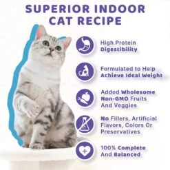 Halo Seafood Medley Pate Grain-Free Indoor Cat Canned Cat Food, 5.5-oz, Case Of 12 -PurePet Bites Shop 194494 PT5. AC SS1800 V1631052721